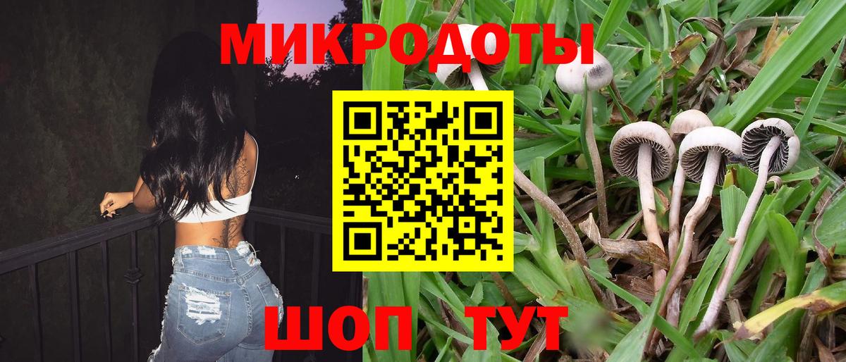 Брянск  Галлюциногенные грибы MAGIC MUSHROOMS  Вход с VPN 